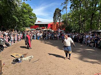 Nach heftiger Kritik: Publikumsliebling wird auf fränkischem Mittelalterfest fehlen Nach heftiger Kritik: Publikumsliebling wird auf fränkischem Mittelalterfest fehlen