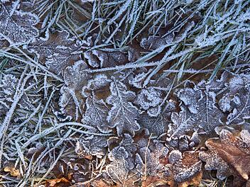Bodenfrost-Alarm in Franken: So wird das Wetter diese Woche Bodenfrost-Alarm in Franken: So wird das Wetter diese Woche