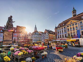 Coburg: Samba-Festival statt Wochenmarkt - wann die Händler wieder da sind Coburg: Samba-Festival statt Wochenmarkt - wann die Händler wieder da sind